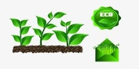 Green and Eco-friendly 