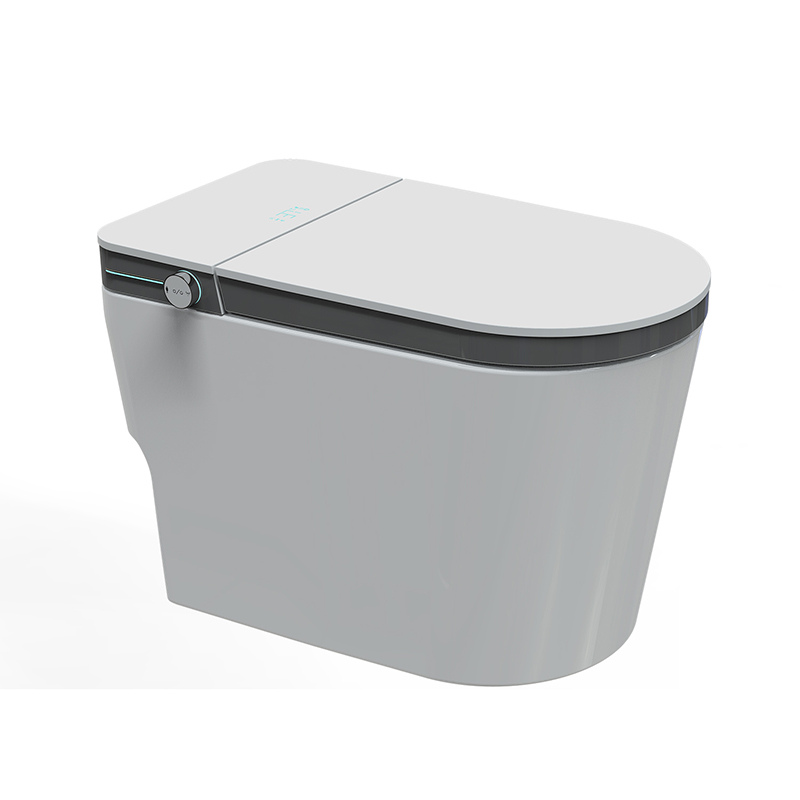 Automatic Ceramic Floor Mounted Bathroom Smart Toilet YK501