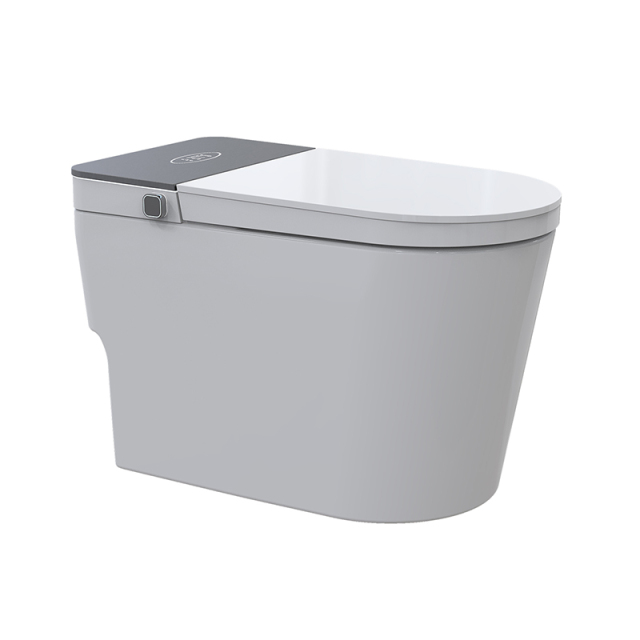 New Intelligent Floor Mounted Auto Smart Bathroom Toilet