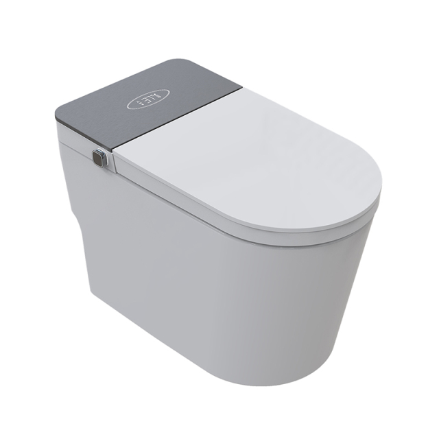 New Intelligent Floor Mounted Auto Smart Bathroom Toilet