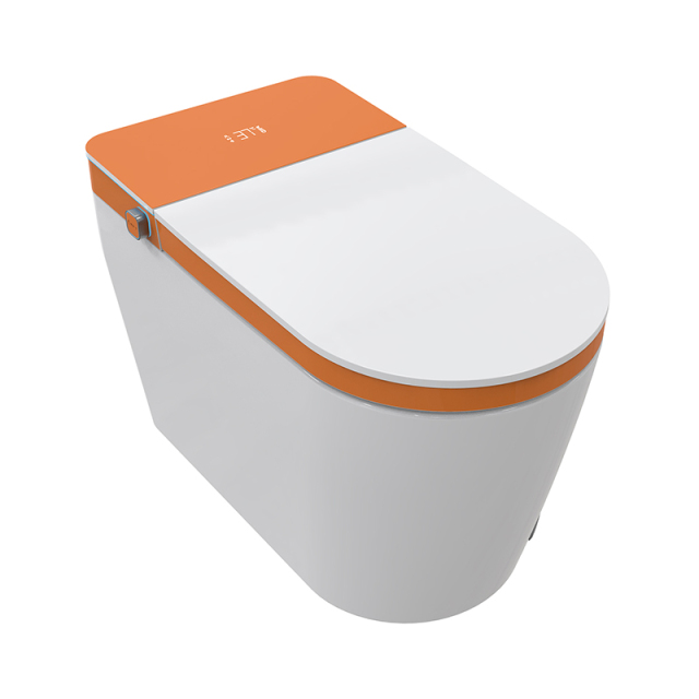Hotel Floor Mounted Automatic Smart Bathroom Toilet DM602