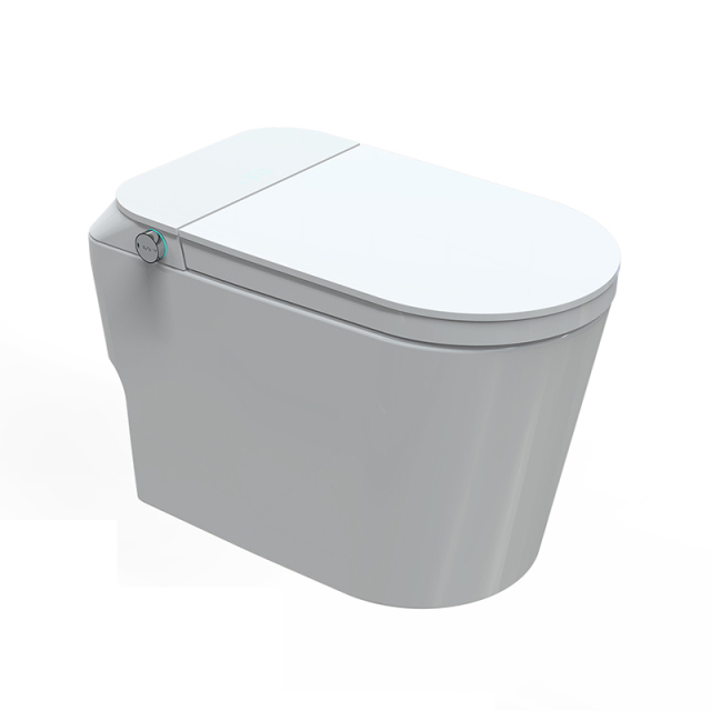 Mosmile Hotel Floor Mounted Smart Bathroom Toilet MDJ601