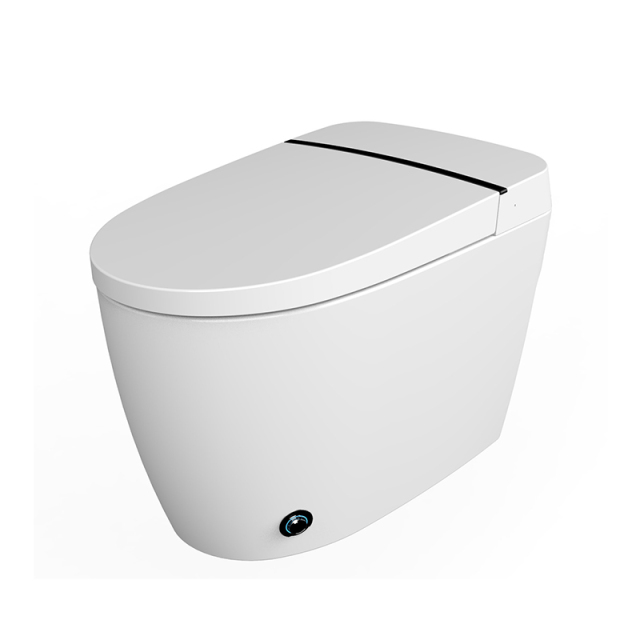 Mosmile Hotel Floor Mounted Bathroom Smart Toilet MDK601