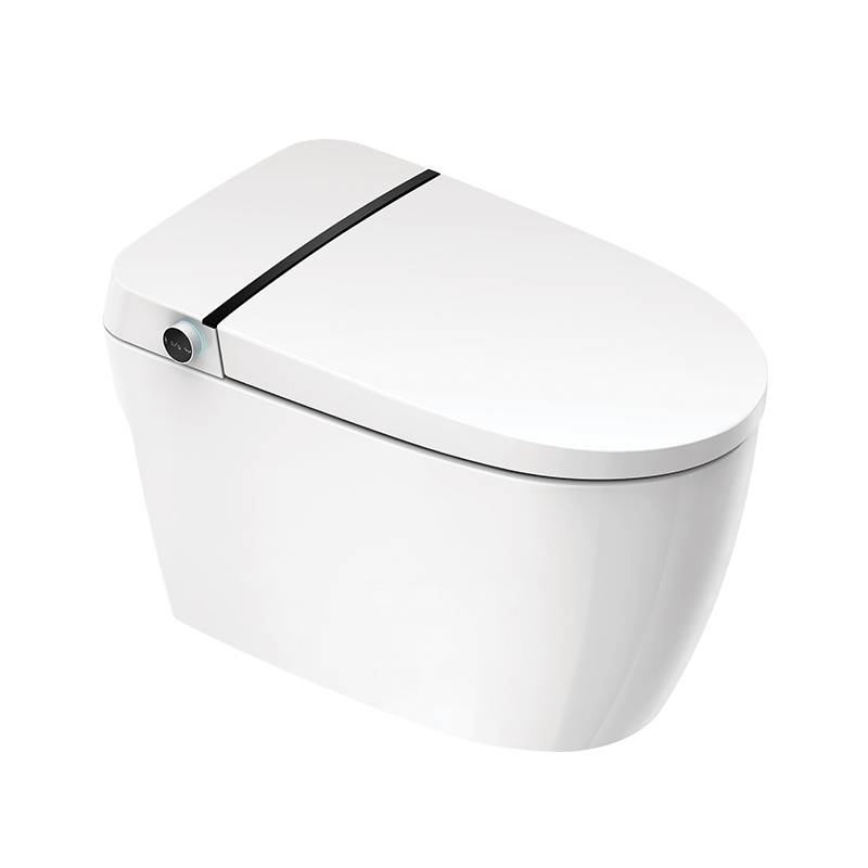Mosmile Hotel Floor Mounted Bathroom Smart Toilet MDK601