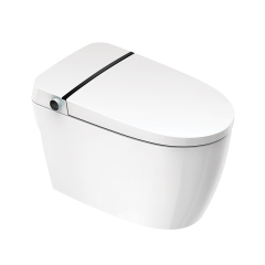 Mosmile Hotel Floor Mounted Bathroom Smart Toilet MDK601