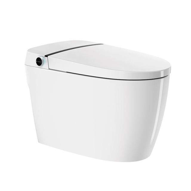 Mosmile Hotel Floor Mounted Bathroom Smart Toilet MDK601