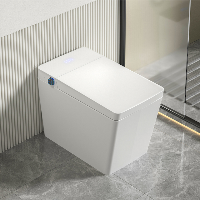 Mosmile Hotel Floor Mounted Bathroom Smart Toilet MDT601