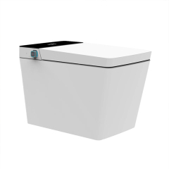 Mosmile Hotel Floor Mounted Bathroom Smart Toilet MDT601