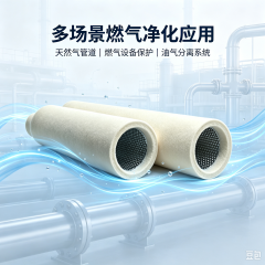 中滤科技替代 Peco Facet 天然气聚结滤芯 立式筒式聚结除油工业过滤芯支持定制