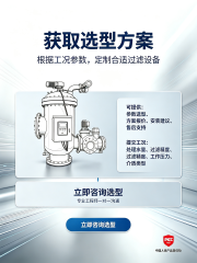 立式全自动反冲洗过滤器 污水循环水过滤设备 电动刷式自清洗过滤器 PICC 承保