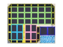 Outdoor Bounce Castle