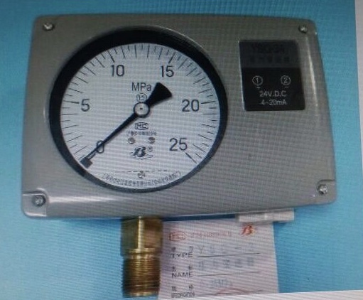Marine engine remoter controller