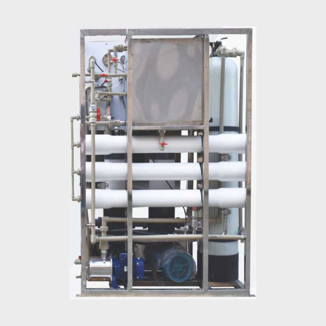 Italy original 316L stainless steel material small seawater desalination equipment fresh water output 5Ton/day high quality