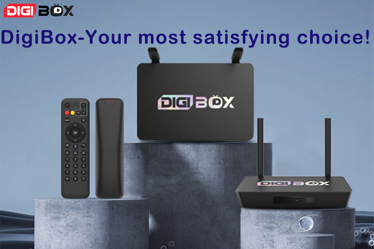 Why DigiBox Is Your Most Satisfying Choice?