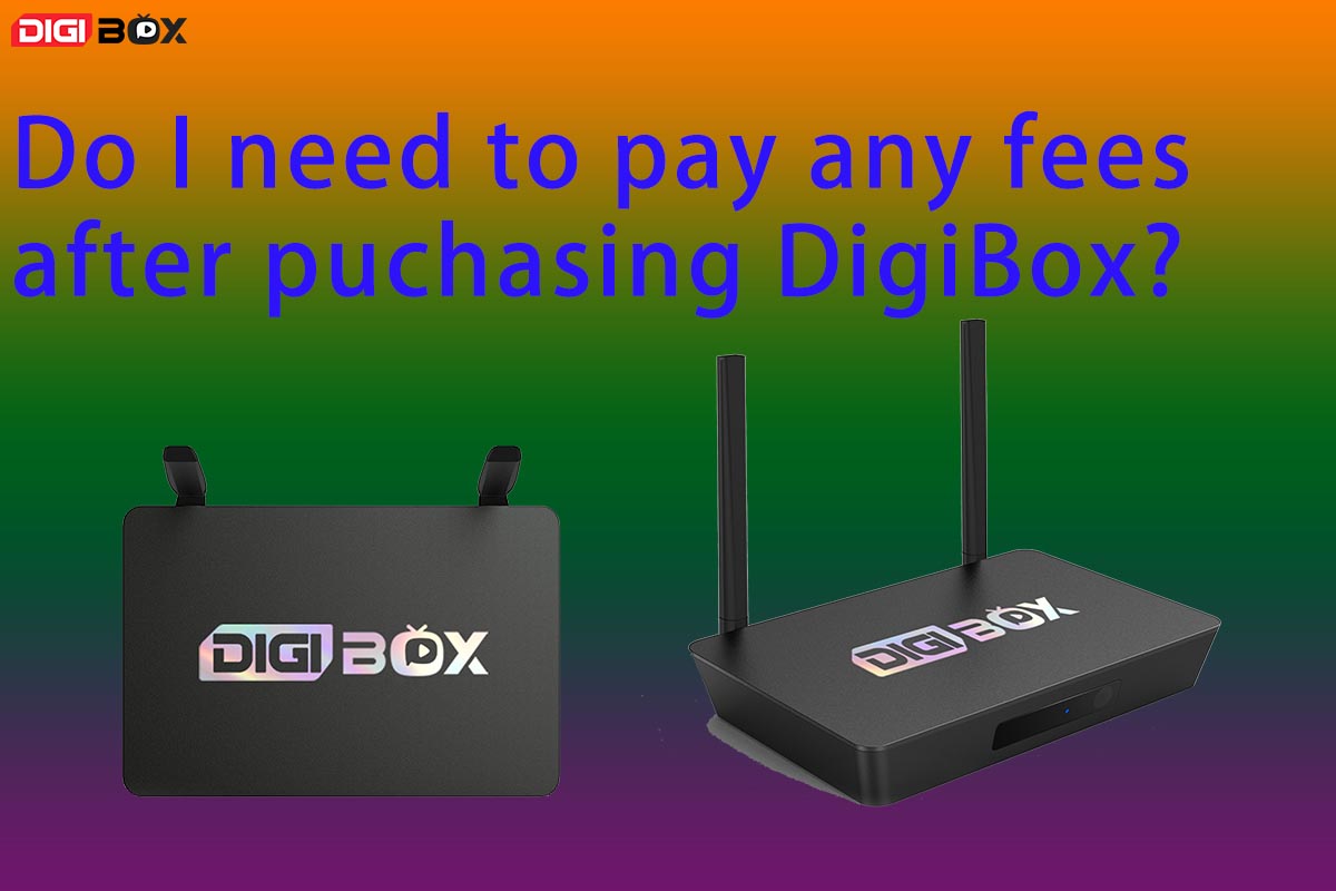 購買 DigiBox 後需要支付任何費用嗎？