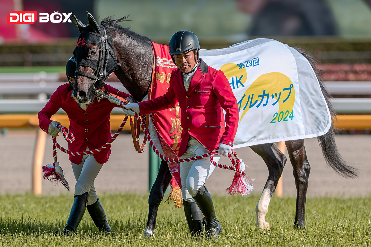 Asahi Hai Futurity Stakes 2024: Um ano marcante para a prestigiosa corrida juvenil do Japão