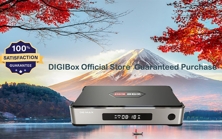 その他 DIGIbox DIGIBox D3 Plus - 高性能かつ強力で安定したスマート TV