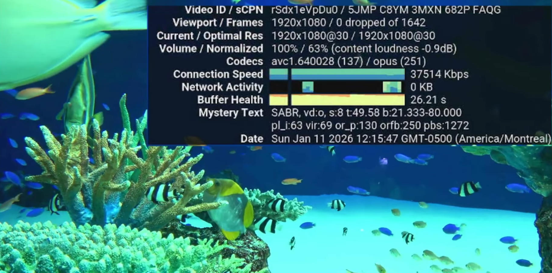 Análise do DIGIBox D6 MAX: Aplicativos, Reprodução de Vídeo, Vale a Pena?