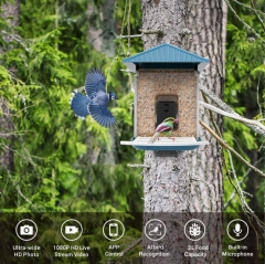 BF13 Smart Bird Feeder with WI-FI Camera