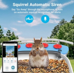 BF23DSmart Bird Feeder with WI-FI Camera