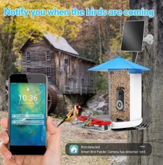 BF29D 3K WIFI AI RECOGNITION BIRD FEEDER