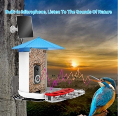 BF29D 3K WIFI AI RECOGNITION BIRD FEEDER