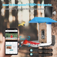 BF29B 3k WI-FI AI Recognition Bird feeder