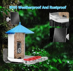 BF29C 3K WIFI AI RECOGNITION BIRD FEEDER