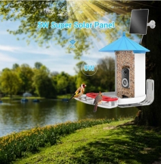 BF29C 3K WIFI AI RECOGNITION BIRD FEEDER