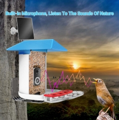 BF29B 3k WI-FI AI Recognition Bird feeder