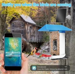 BF29B 3k WI-FI AI Recognition Bird feeder