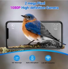 BF25B Smart Bird Feeder With Wi-Fi Camera