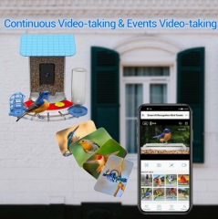 BF25A Smart Bird Feeder With Wi-Fi Camera