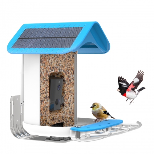 BF19A 4G Lte Smart Wifi Bird Recognition Feeder