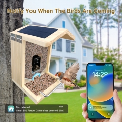 WBF11 Smart Bird Feeder with WI-FI Camera