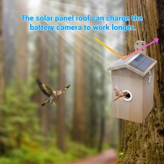 NH01 Smart Nesting Bird House With Camera
