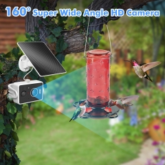 BF37 Smart Al Bird Recognition Camera