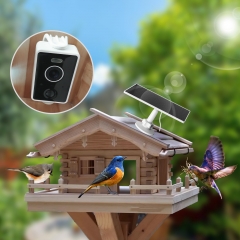 BF37 Smart Al Bird Recognition Camera