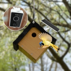 BF37 Smart Al Bird Recognition Camera