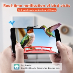 HM05 Professional Hummingbird Feeder with Smart Al Camera