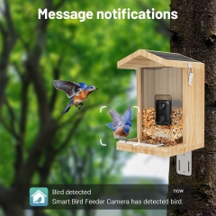 WBF11 Smart Bird Feeder with WI-FI Camera