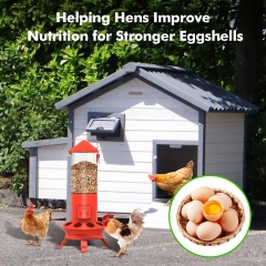 WS33 Smart Poultry Feeder