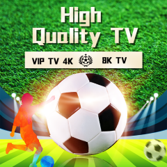 TiVi One IPTV Subscription Stable Netherlands Reseller Panel M3U Free Test 1jaar abonnement for Nederland Dutch Belgium Germany Turkey Albania Greek Austria UK USA Full 4K Quality Server