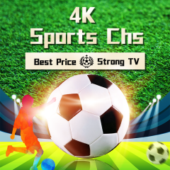 2024 4K 8K Strong IPTV Subscription Service with 28000+xxx channels IPTV M3u list Smart TV Box Free Test 24hours Strong Reseller Panel Credits