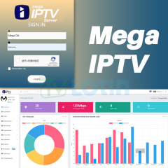 Cheap IPTV Server Mega OTT Megaott Lion OTT Live VOD Stable Wholesale Good Price
