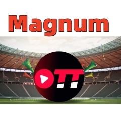Magnum OTT Golden IPTV Subscription and Reseller Panel with Arabic French World Channels for France