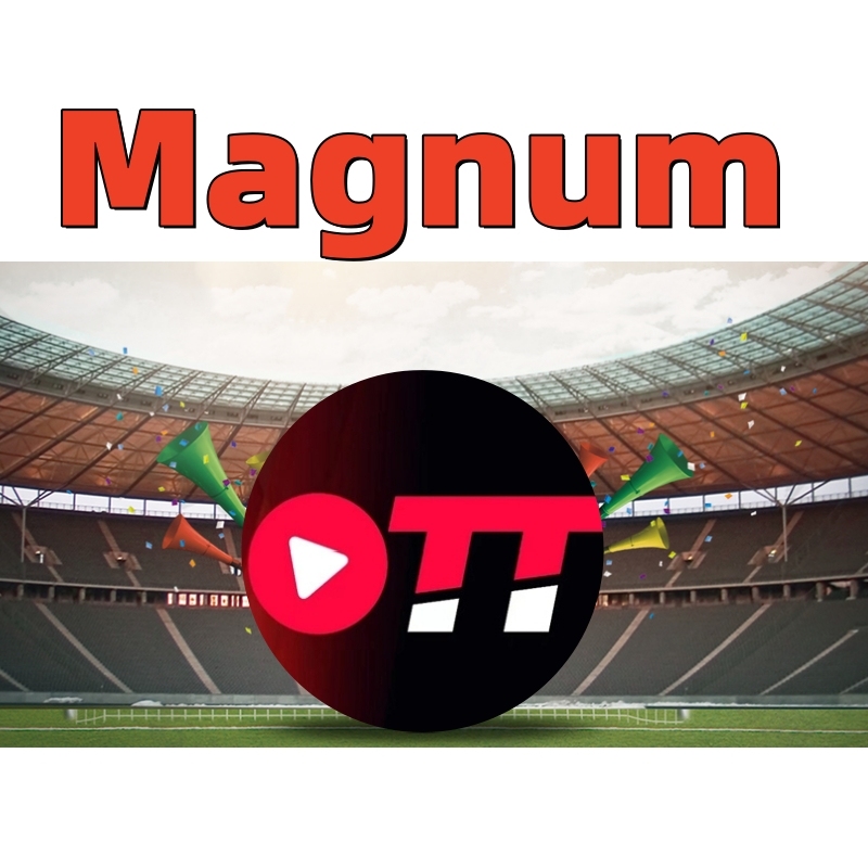 Magnum OTT Golden IPTV Subscription and Reseller Panel with Arabic French World Channels for France