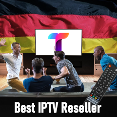 Best Tivione Panel for Germany