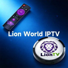 Lion Ott Server with Cheapest Price