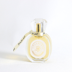 Luxury Custom Clear Round 30ml 50ml Empty Glass Perfume Bottles With box